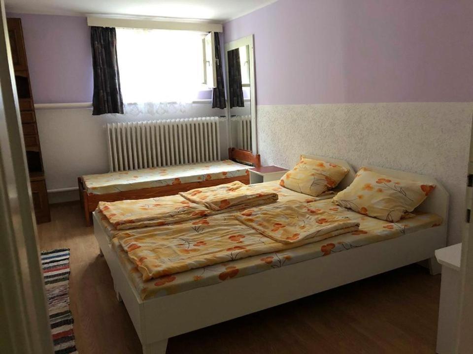 Balazs Vendeghaz Apart otel Lupeni  Dış mekan fotoğraf