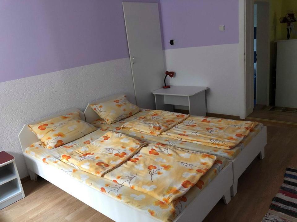Balazs Vendeghaz Apart otel Lupeni  Dış mekan fotoğraf