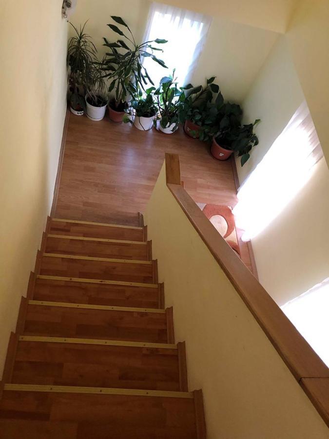 Balazs Vendeghaz Apart otel Lupeni  Dış mekan fotoğraf