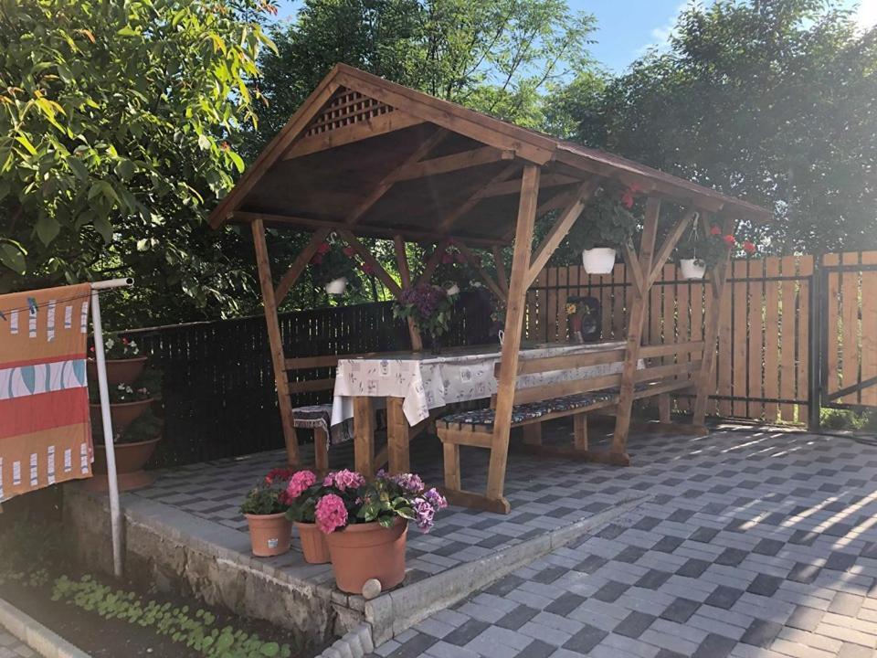 Balazs Vendeghaz Apart otel Lupeni  Dış mekan fotoğraf