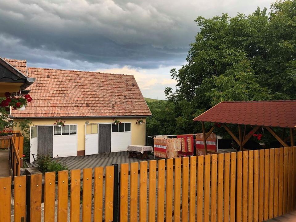 Balazs Vendeghaz Apart otel Lupeni  Dış mekan fotoğraf