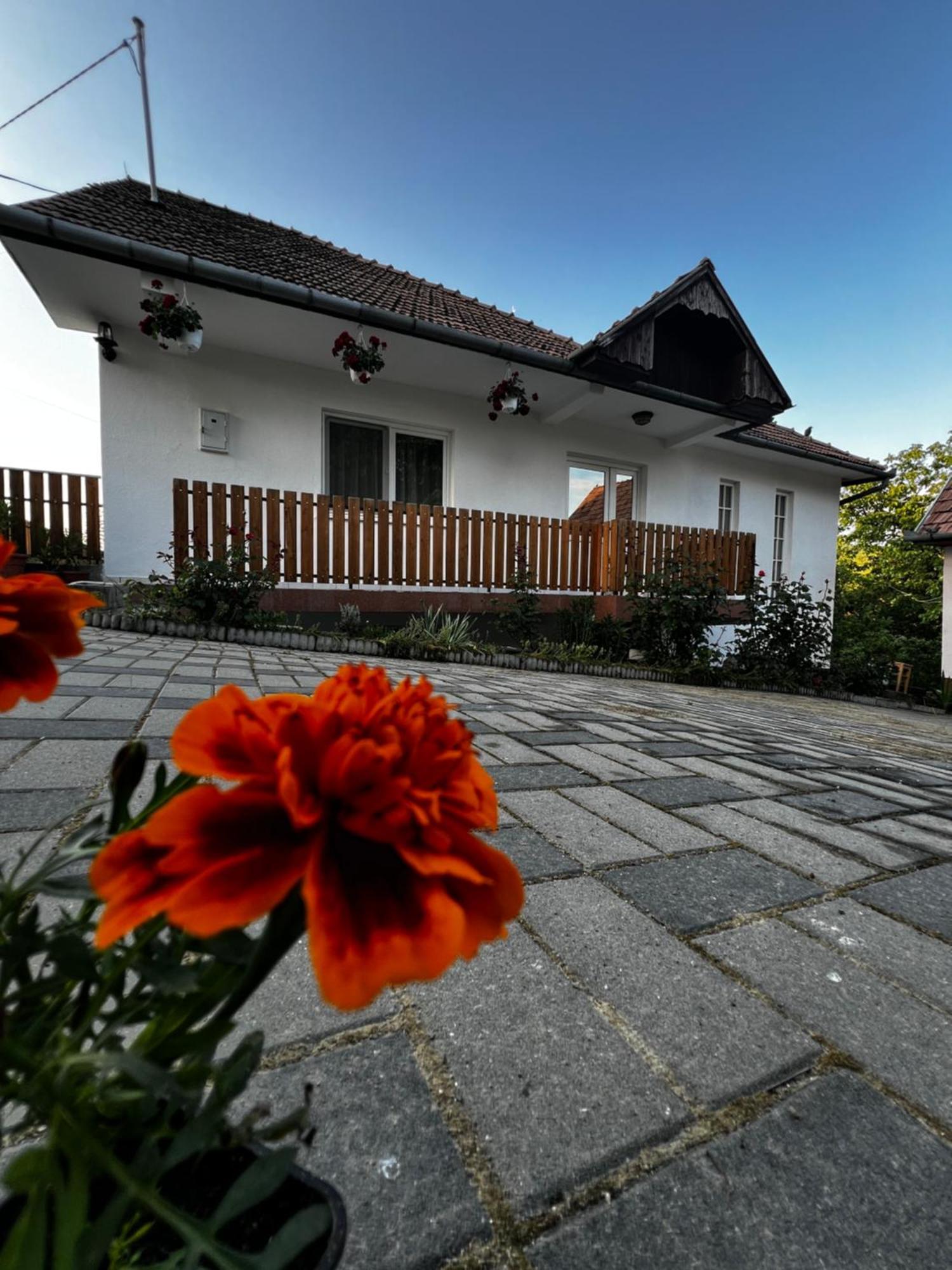 Balazs Vendeghaz Apart otel Lupeni  Dış mekan fotoğraf