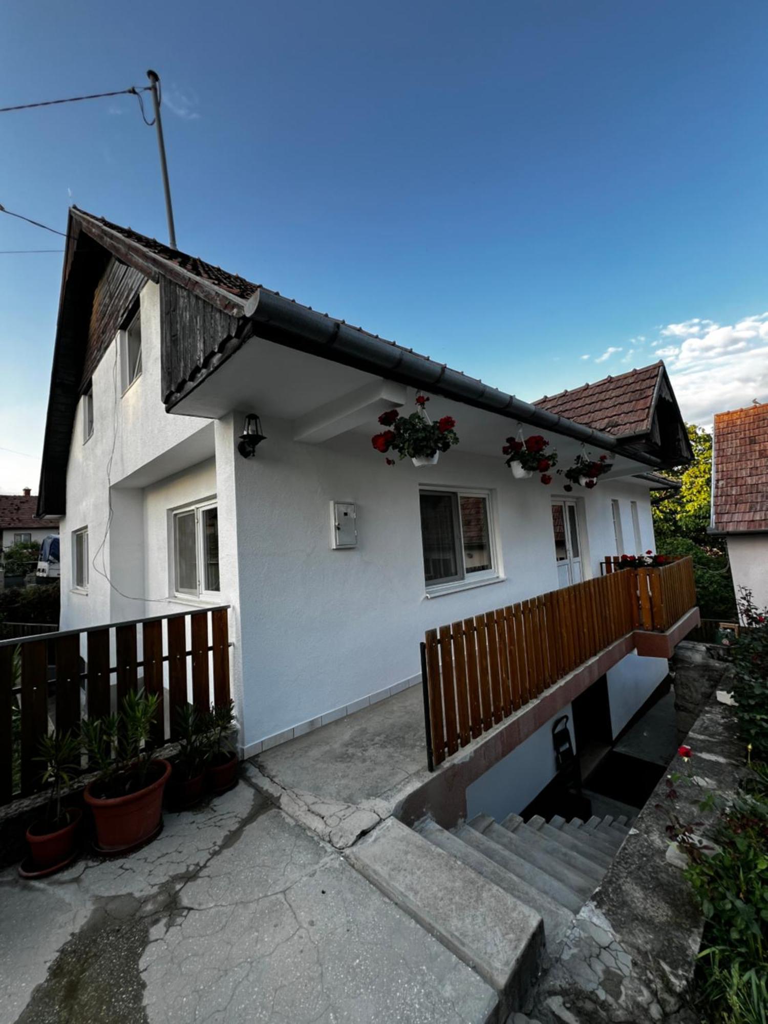 Balazs Vendeghaz Apart otel Lupeni  Dış mekan fotoğraf
